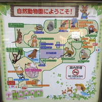 画像1456
