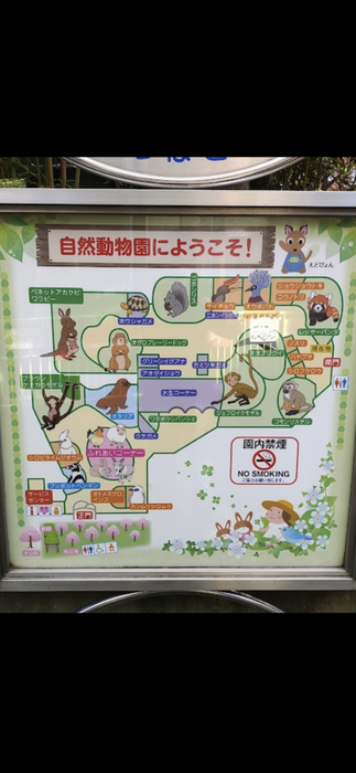 画像1456